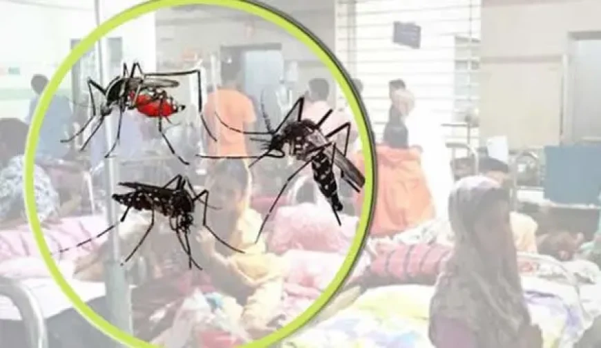 গ্রামে-গঞ্জেও ছড়িয়ে পড়ছে ডেঙ্গু, একদিনে ৬ জনের মৃত্যু