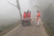 খুলনা
