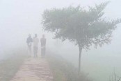 খুলনা