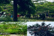 এক্সক্লুসিভ