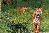 পরিবেশ-প্রতিবেশ