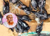 পাখি মেরে পৌচাশিক আনন্দ পান লালমোহনের জামাল