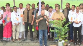 বরিশাল পৌঁছেছেন প্রধানমন্ত্রী, করলেন বৃক্ষরোপণ কর্মসূচির উদ্বোধন