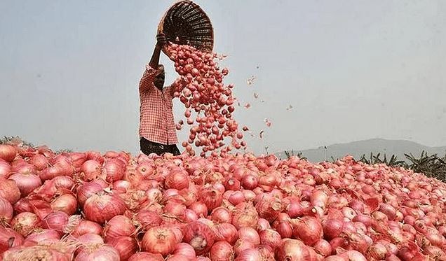 পেঁয়াজের দাম কেজিতে বেড়েছে ২০ টাকা