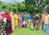 ঈশ্বরগঞ্জ পৌরসভার নিজস্ব অর্থায়নে বৃক্ষরোপণ কর্মসূচি
