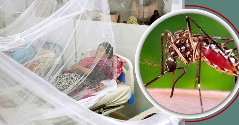 ডেঙ্গুতে একদিনে আরও ৩ জনের মৃত্যু, হাসপাতালে ভর্তি ২৫১