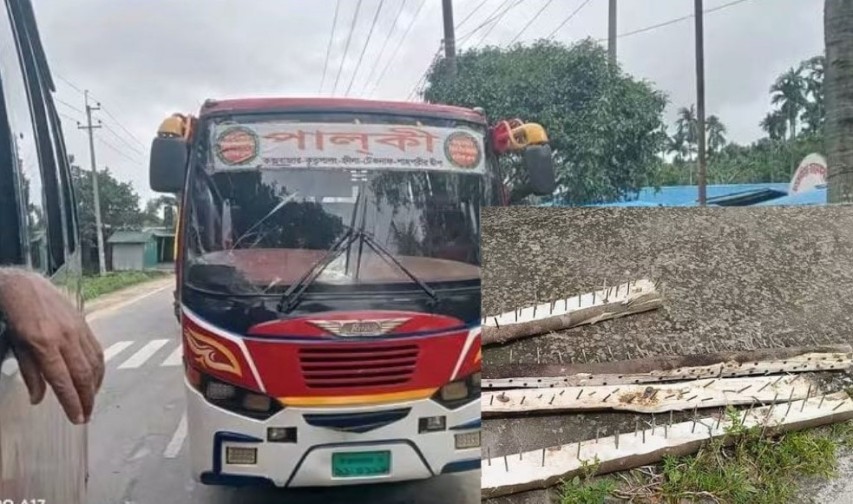 টেকনাফ সড়কে গাছ ফেলে দিনদুপুরে বাসে ডাকাতি