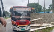 টেকনাফ সড়কে গাছ ফেলে দিনদুপুরে বাসে ডাকাতি