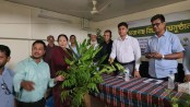 কলাপাড়ায় নারী কৃষকদের মাঝে ৩ হাজার চারাগাছ বিতরণ