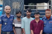 নরসিংদী