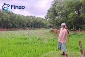 দেশেরডাক