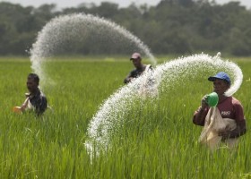 দেশেরডাক