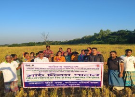 দেশেরডাক