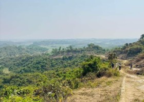 দেশেরডাক