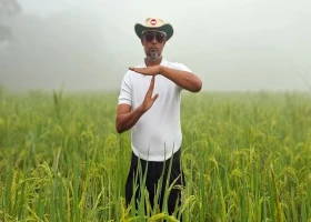 দেশেরডাক