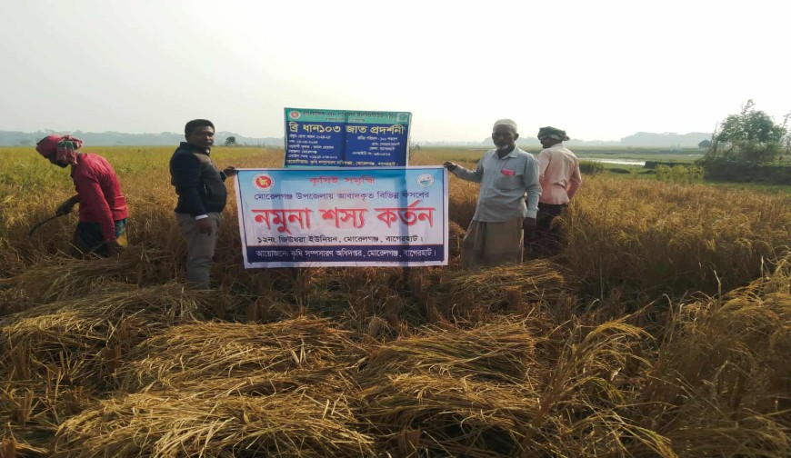 দেশেরডাক