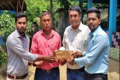দেশেরডাক