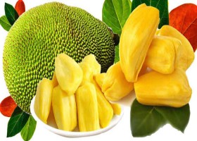 দেশেরডাক