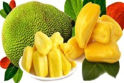 দেশেরডাক