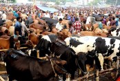 দেশেরডাক