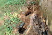 দেশেরডাক