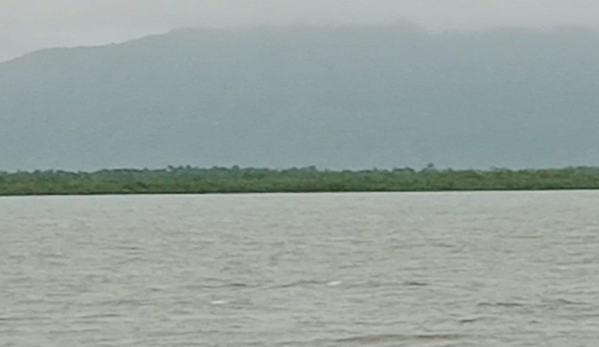 দেশেরডাক