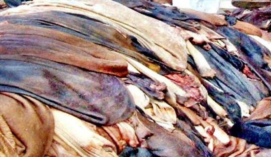 দেশেরডাক