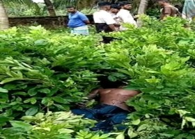 দেশেরডাক