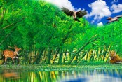 দেশেরডাক
