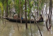 দেশেরডাক