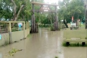 দেশেরডাক