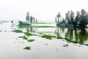 দেশেরডাক