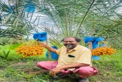 দেশেরডাক