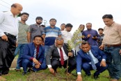 দেশেরডাক