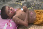 দেশেরডাক