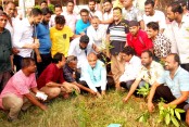 দেশেরডাক