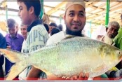 দেশেরডাক